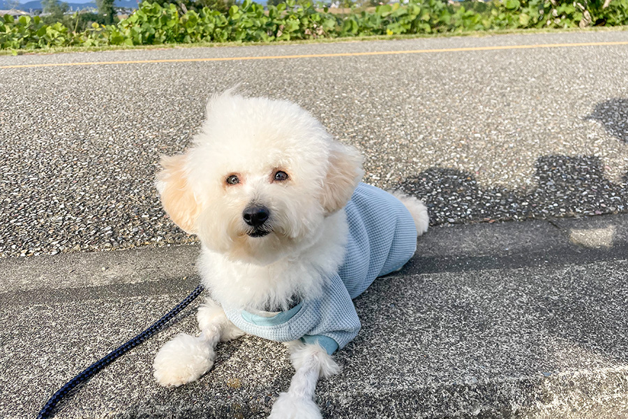 ある日のスケジュール