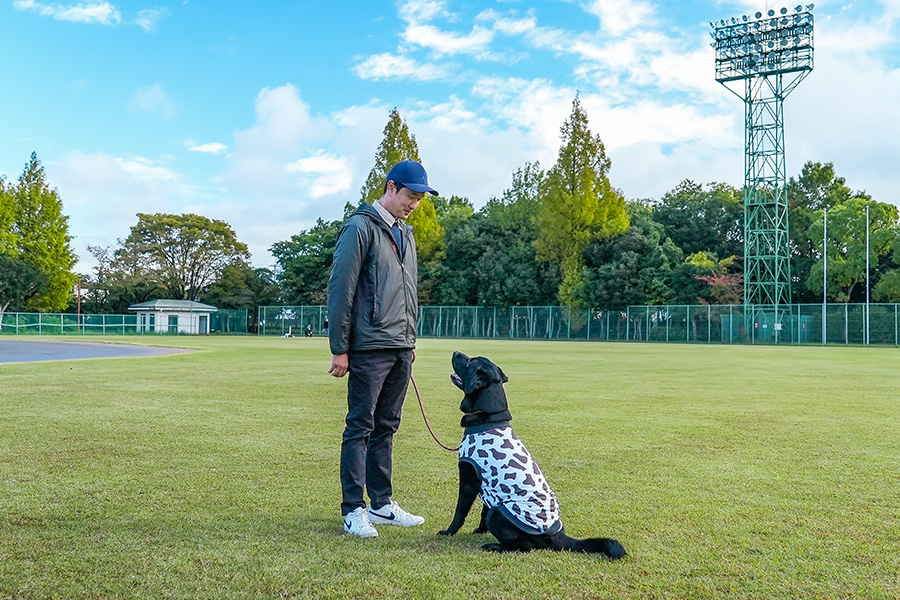 トレーニングについて