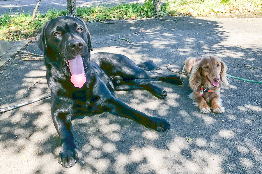 なぜトレーニングが必要か