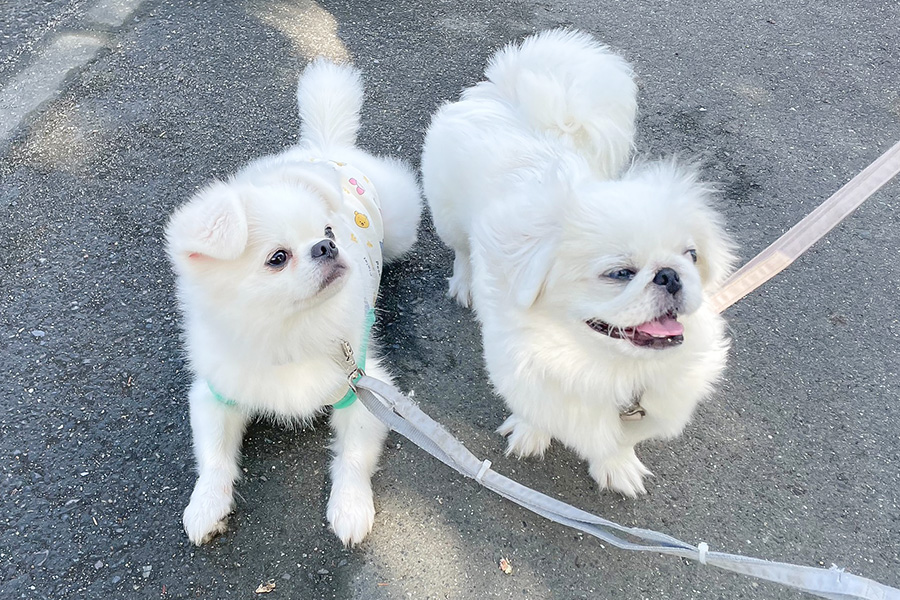 なぜ出張なのか