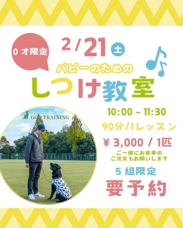 2月21日 土曜日　午前10時からパピー教室を開催予定です‼️
場所は名古屋市守山区にあるSUNNYDAYSKITCHENさんです😊
子犬の飼い方やしつけ方など出来るだけ分かりやすく説明します。
個別相談もしますので興味のある方はお気軽にお越しください✨

出張ドッグトレーナー
GOOTRAINGING
川辺琢也
愛知県稲沢市　一宮市　江南市他
TEL 080-3076-2796
https://gootraining.com/
#gootraining
#犬のしつけ
#訓練士
#イヌスタグラム
#パピー教室