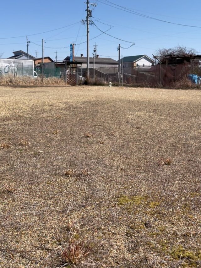 ネネが幼稚園でやって来ました😊
ドッグランで爆走です‼️
とにかく走るの大好きですが呼び戻しもいい感じで帰って来ます✨
ワイルドネイチャープラザでツムとアオのしつけに一緒に参加しました‼️
伏せも公園や他の犬達いても出来るようになって来ました😊
散歩トレーニングと要求鳴きが少し気になりますがこれから頑張って行きます✨

出張ドッグトレーナー
GOOTRAINGING
川辺琢也
愛知県稲沢市　一宮市　江南市他
TEL 080-3076-2796
https://gootraining.com/
#gootraining
#犬のしつけ
#訓練士
#イヌスタグラム
#トイプードル