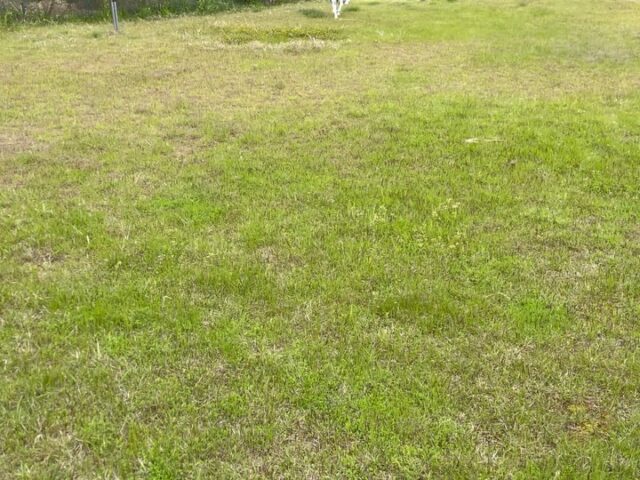 テラと約半年ぶりの再会です😊
色々な事がありましたが今は本当に幸せそうで安心しました✨
久しぶりにコマンド色々しましたが全部覚えていたし少しずつでも毎日頑張ってください‼️
また次回会える時を楽しみにしてます😆

出張ドッグトレーナー
GOOTRAINGING
川辺琢也
愛知県稲沢市　一宮市　江南市他
TEL 080-3076-2796
https://gootraining.com/
#gootraining
#犬のしつけ
#訓練士
#イヌスタグラム
#ホワイトシェパード